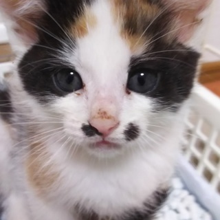 ほくろがチャーミングな私！！