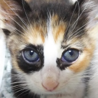 オンリーワンの私！！