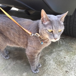 「中指！見落としてました ∑(ﾟДﾟ)」サムネイル1