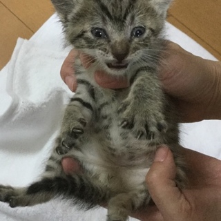 管理番号：OS−590