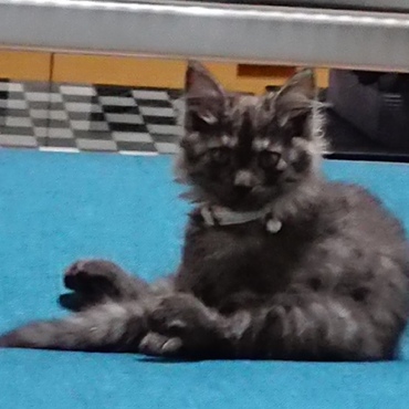 ちっちゃい頃もあったよね