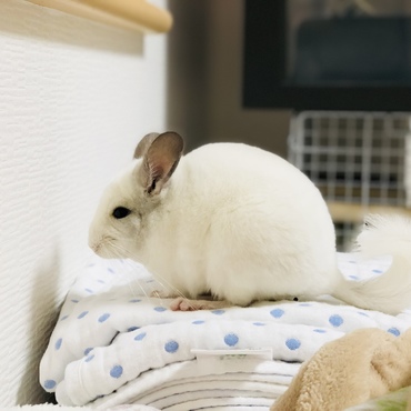 の写真
