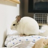 の写真