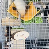 の写真