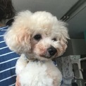 アプリ君新しい家族募集中♪