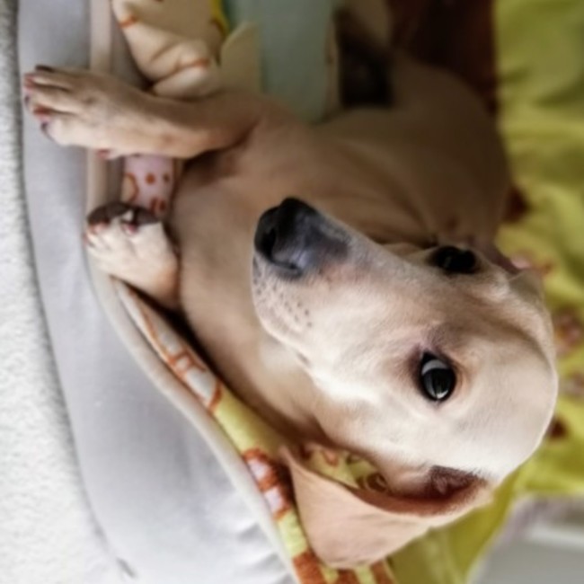 ヒューヒューのカバー写真