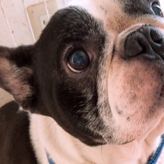 温かく迎えてあげてください