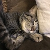 こまめ0808