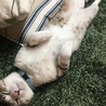 の写真