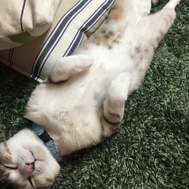 NIXの写真
