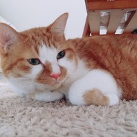 スラィリー