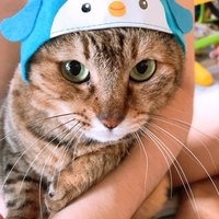 ちっち