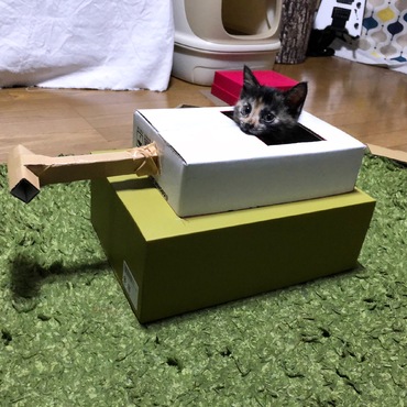 おぬしちゃんの写真