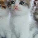 ありがとうございます☆るい君