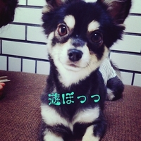 くう太郎