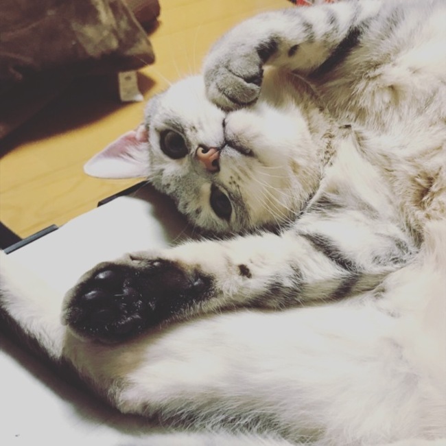 さしろのカバー写真