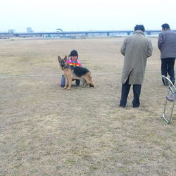 犬は相棒です。