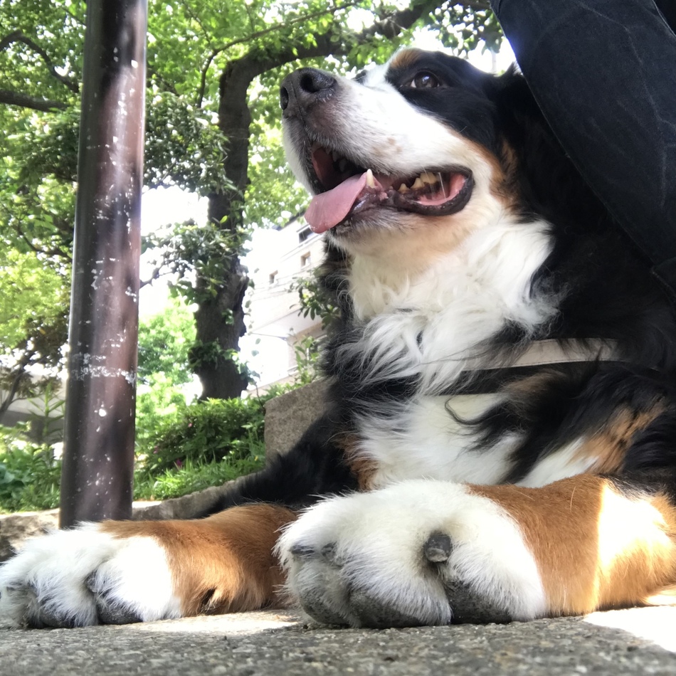 NEOのカバー写真