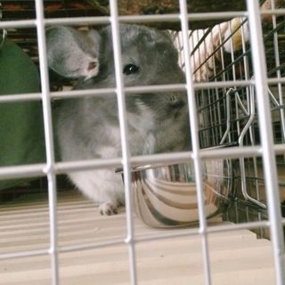 沢山のご応募ありがとう御座いました！！