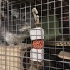 沢山のご応募ありがとう御座いました！！ サムネイル3