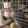 沢山のご応募ありがとう御座いました！！ サムネイル4