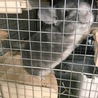 沢山のご応募ありがとう御座いました！！ サムネイル5