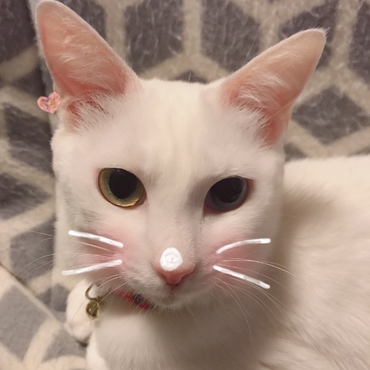 スノー
