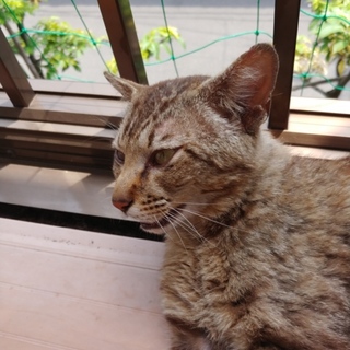 急募！ご近所のクレームになってしまっています！