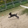 の写真