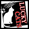 福猫 (LUQKY CATS) さん
