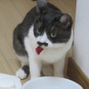 choco15 さん