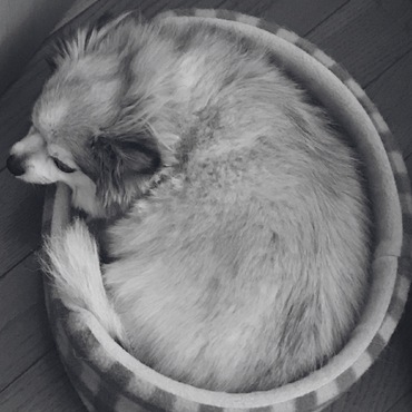 の写真