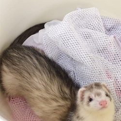 「癖が強い」サムネイル2