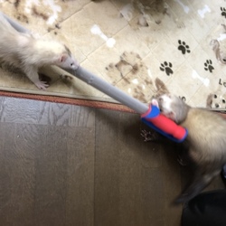 「癖が強い」サムネイル3