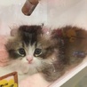  さん