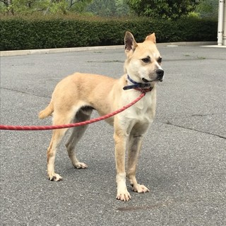 見た目と性格のギャップが可愛い　たかし君