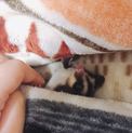 ありがとうございました！