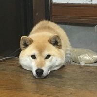 はな
