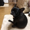 あずあさ
