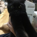 よろしくお願いします