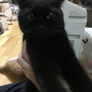 よろしくお願いします