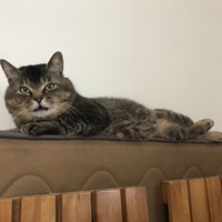 ポンズ