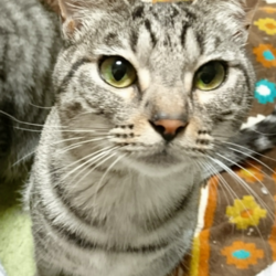 「無事に、避妊手術終了。」サムネイル2