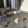 とらじィ