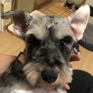 甘えたで、とても可愛い女の子♪