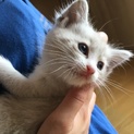 一旦停止します