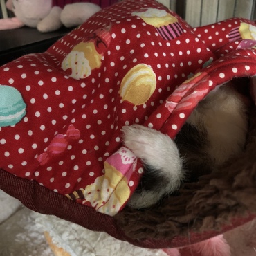 前足？出てるよ。