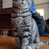 の写真