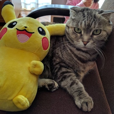ナナの写真