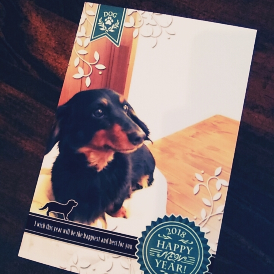 まろんのカバー写真